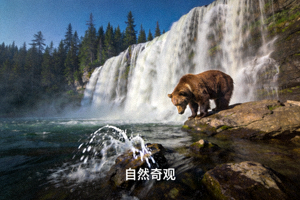 纪录片《自然奇观》精彩画面，壮丽瀑布与野生动物